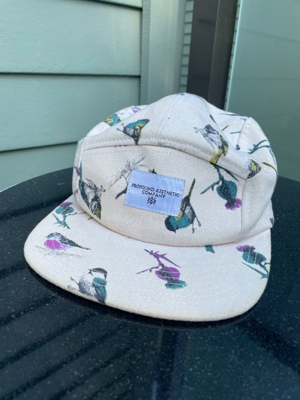Profound Aesthetic Flight of Birds 5 Panel Hat Leather Strapback Cap 2013